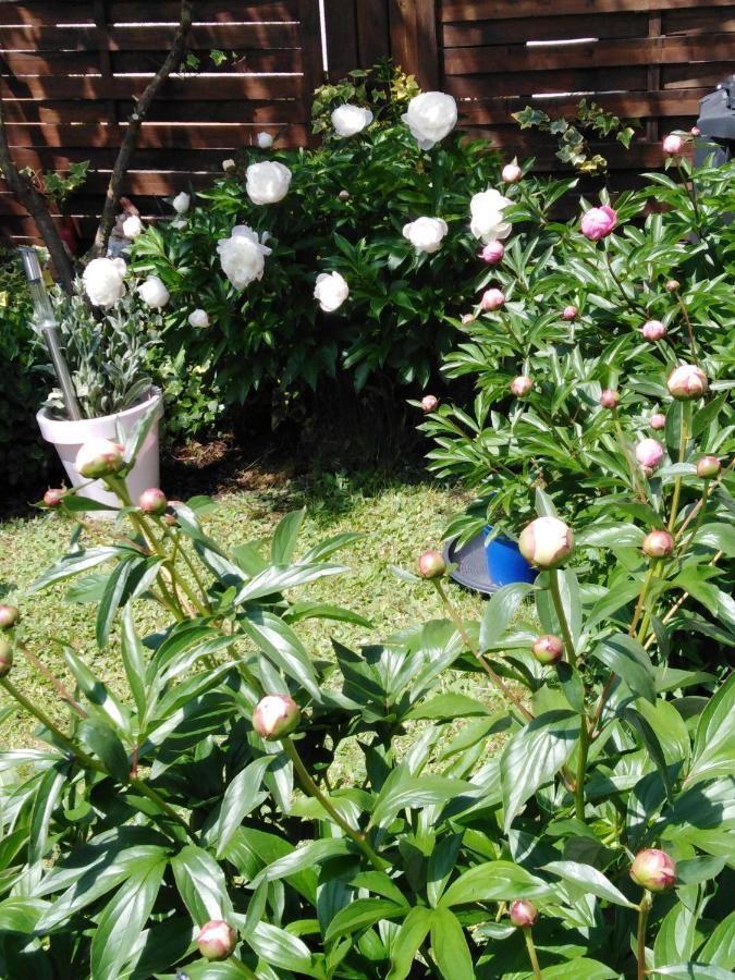 Ferienwohnung Mit Kleinem Garten ซอนเนนบูล ภายนอก รูปภาพ